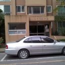 서구-02-10 이미지