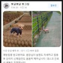 이승재동물병원 이미지