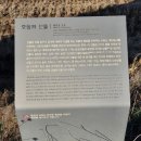 오향리선돌 이미지