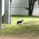 가쯔렛 화명동직영점 | 9/28 간만의 나들이