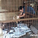 용재농장 이미지