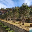 안식목장 이미지