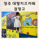 대형카프라자 | 300평 청주대형키즈카페 넓고 쾌적했던 점핑고