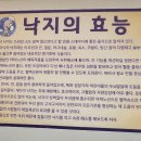 장위동맹가네