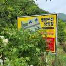 별밤펜션 캠핑장 이미지