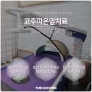 대구나무병원 이미지