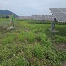 성인태양광발전소 이미지