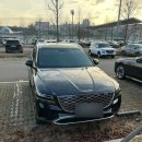 빌리지독 | 제니시스GV80 프리빌리지 서비스 와인 퍼플독선택후기