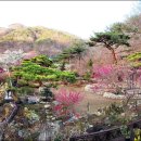 솔의정원 이미지