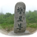 뒷골2로 이미지