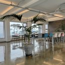 과르네리 이미지