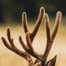 연세동의보감한의원 이미지