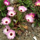 한일건축사사무소 이미지