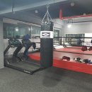 탑 복싱체육관 이미지