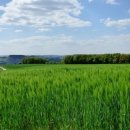 공용재산 토지 이미지