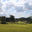 아리스타컨트리클럽 이미지