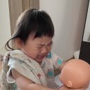 처음 쓰는 육아 기록 / 21개월 곧 22개월 아기 발달 / 언어발달 / 땡깡 / 가정보육 집콕놀이