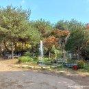 숲속의라이브카페도림원
