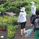 홍도축산 이미지