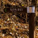 북부동 등산로 이미지