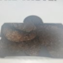 비에이치씨광주 - 동구 동계로 15 | [광주 맛집] BHC 광주용봉점 뿌링클 콰삭킹 내돈내산 후기 / 치킨 배달 전대 맛집 용봉동 맛집