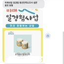 행정용 8 | 2025 미래내일일경험 공공행정 인턴 8주차 후기