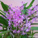 우리에게 주를 향한 마음만 있다면 이미지