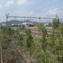 도수농장 이미지