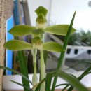 마전시내버스터미널 이미지