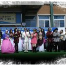 금성면사무소 이미지