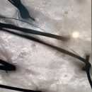 로데오남성커트