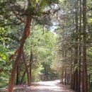 국립산림과학원 산림생명자원연구부 | 아이와 가볼 만한 곳, 홍릉숲 산책 꿀팁 총정리