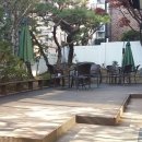 소나무파인트리(PINE TREE) 이미지