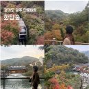 돌담소머리국밥 | 2025 화담숲 단풍 시즌 다녀온 후기, 온라인예약 / 모노레일 현장구매 후기