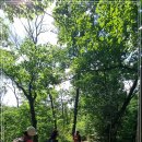 내곡동473 이미지