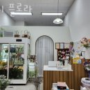 지니플로라