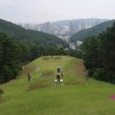 순천-54호 티스토리