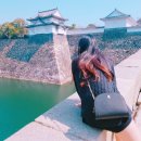 성은태양광발전소 이미지