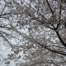 (주)서산 이미지