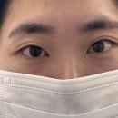 영동초교 | 강릉속눈썹펌|에르미엘뷰티|강릉터미널 근처 자연스러운 속눈썹펌 후기