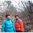 노량진회센타
