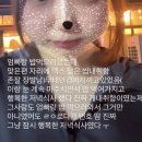 더헤라 PC방(CGV점) | 대충 살자 했는데 또 진심이였음