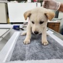 해밀예당3로 37 이미지