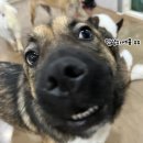 오늘도맑음 이미지