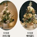 도비데코