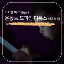 연 태권도 이미지