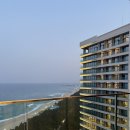 조형기푸드버드나무뷔페 | 12월 💝