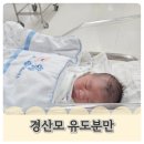 으라차차 유도짐 모라점 | 미즈메디 경산모 둘째 38주 39주 유도 분만 후기!!