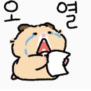 아워스카 이미지