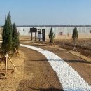 반려동물놀이터 이미지